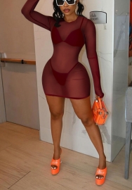 2021 Styles Women Fashion INS Styles Fashion Mesh Long Sleeve Mini Dress