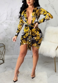2021 Styles Women Fashion INS Styles Fashion Print Long Sleeve Mini Dress