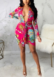 2021 Styles Women Fashion INS Styles Fashion Print Long Sleeve Mini Dress