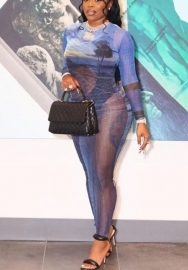 (Pre-Szle)2021 Styles Women Fashion INS Styles Fashion Autumn Long Sleeve Maxi Dress