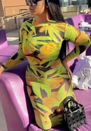 (Pre-Szle)2021 Styles Women Fashion INS Styles Fashion Autumn Long Sleeve Maxi Dress