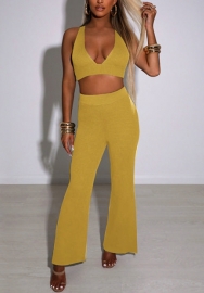 2021 Styles Women Fashion Fall & Winter INS Styles Two Piece Set