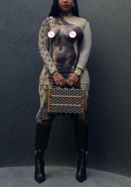 (Real Image)2022 Styles Women Fashion Spring INS Styles Long Sleeve Midi Dress