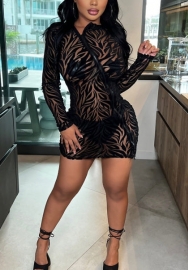 (Real Image)2022 Styles Women Sexy Spring INS Styles Lace Long Sleeve Mini Dress