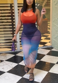 (Real Image)2022 Styles Women Fashion INS Styles Print Maxi Dress