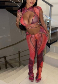 (Real Image)2022 Styles Women Fashion INS Styles Print Rose Mesh Two Piece Suit