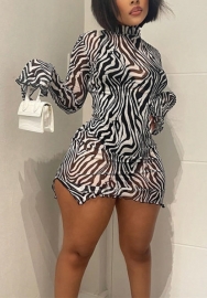 (Black)2022 Styles Women Fashion Summer TikTok&Instagram Styles Flare Long Sleeve Print Ruffle Mini Dress