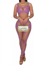 (Purple)2022 Styles Women Sexy Spring&Winter TikTok&Instagram Styles Mesh Two Piece Suit