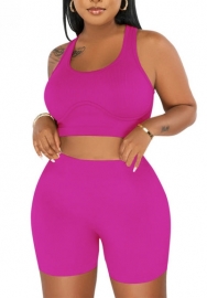 (Rose)2022 Styles Women Sexy Spring&Winter TikTok&Instagram Styles Short Two Piece Suit