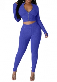(Blue)2023 Styles Women Sexy&Fashion Autumn/Winter TikTok&Instagram Styles Front Zipper Two Piece Suit