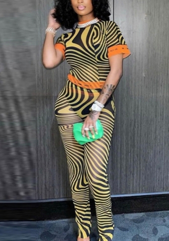 2021 Styles Women Fashion INS Styles Fashion Two Piece Suit