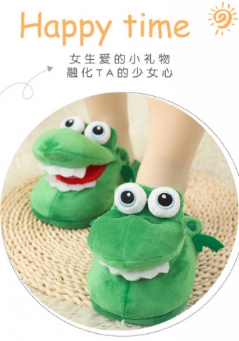 (Real Image)2021 Styles Women Fashion Fall & Winter INS Styles Slipper