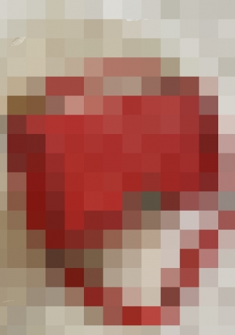 (Red)2022 Styles Women Fashion Spring INS Styles ODM Handbag