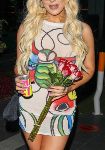 (Real Image)2022 Styles Women Fashion INS Styles Mesh Print Club Dress