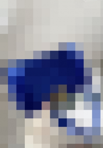 Women Fashion Blue Handbag (OEM Item)