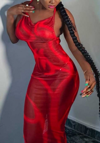 (Real Image)2022 Styles Women Fashion INS Styles Print Mesh Maxi Dress