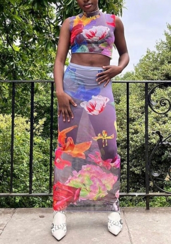 (Real Image)2022 Styles Women Fashion Summer TikTok&Instagram Styles Mesh Purple Floral Maxi Dress