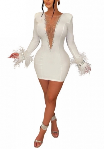 (White)2022 Styles Women Sexy Spring&Winter TikTok&Instagram Styles Mesh Sequin Long Sleeve Mini Dress