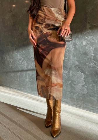 (Real Image)2022 Styles Women Sexy Spring&Winter TikTok&Instagram Styles Mesh Print Angle Skirts