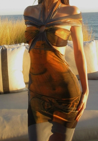 2023 Styles Women Sexy&Fashion Spring&Summer TikTok&Instagram Styles JHalter Maxi Dress