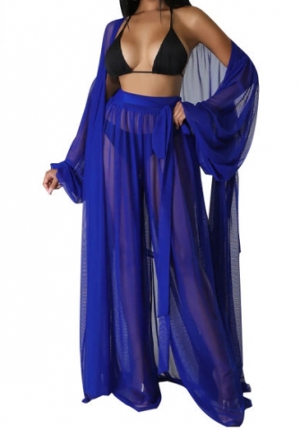 (Blue)2023 Styles Women Sexy&Fashion Spring&Summer TikTok&Instagram Styles Loose Casual Mesh Two Piece Suit