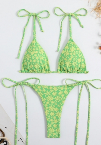 (Real Image)2023 Styles Women Sexy&Fashion Spring&Summer TikTok&Instagram Styles Print Bikini Set