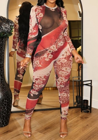 (Real Image)2023 Styles Women Sexy&Fashion Autumn/Winter TikTok&Instagram Styles Print Mesh Jumpsuit