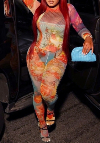 (Real Image)2023 Styles Women Sexy&Fashion Autumn/Winter TikTok&Instagram Styles Mesh Print Two Piece Suit