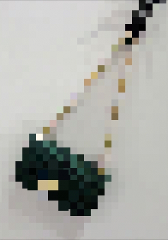 (Real Image)2023 Styles Women Sexy&Fashion Autumn/Winter TikTok&Instagram Styles Green Handbag