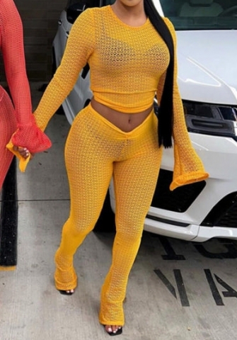 (Yellow)2023 Styles Women Sexy&Fashion Autumn/Winter TikTok&Instagram Styles Net Two Piece Suit