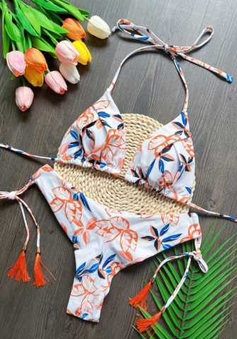 (Real Image)2024 Styles Women Sexy&Fashion Sprint/Summer TikTok&Instagram Print Bikini Set