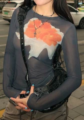 (Real Image)2024 Styles Women Fashion Mesh Print Round Neck Pullover Long Sleeve Top