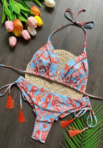 (Real Image)2024 Styles Women Printed Fringe Bikini Set