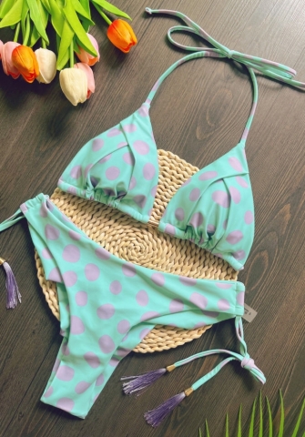 (Real Image)2024 Styles Women Printed Fringe Bikini Set