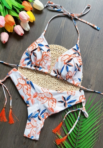 (Real Image)2024 Styles Women Printed Fringe Bikini Set