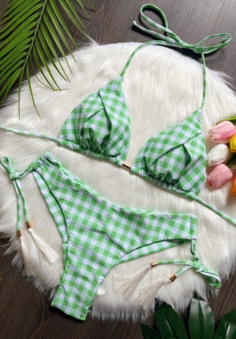 (Real Image)2024 Styles Women Printed Fringe Bikini Set