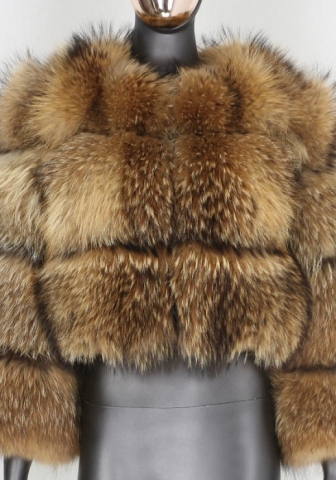 (3 Sections Length)(Real Image)2024 Styles Women Stylish Imitation Raccoon Fur Coat
